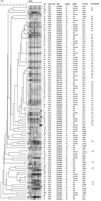 Molecular epidemiology, risk factors, and outcomes of carbapenem-resistant Klebsiella pneumoniae infection in a tertiary hospital in eastern China: for a retrospective study conducted over 4 years